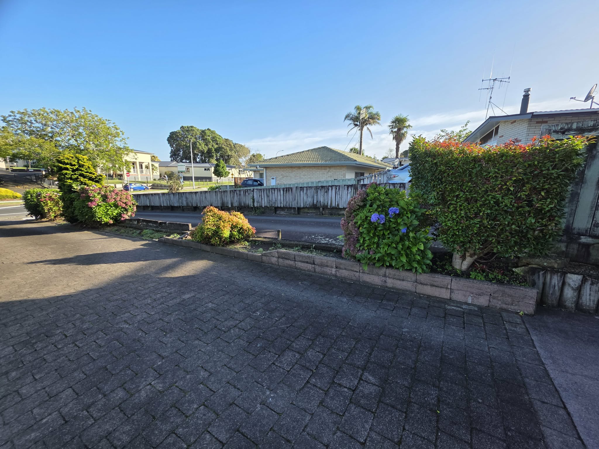 Fence site before Kieran completed the fencing work