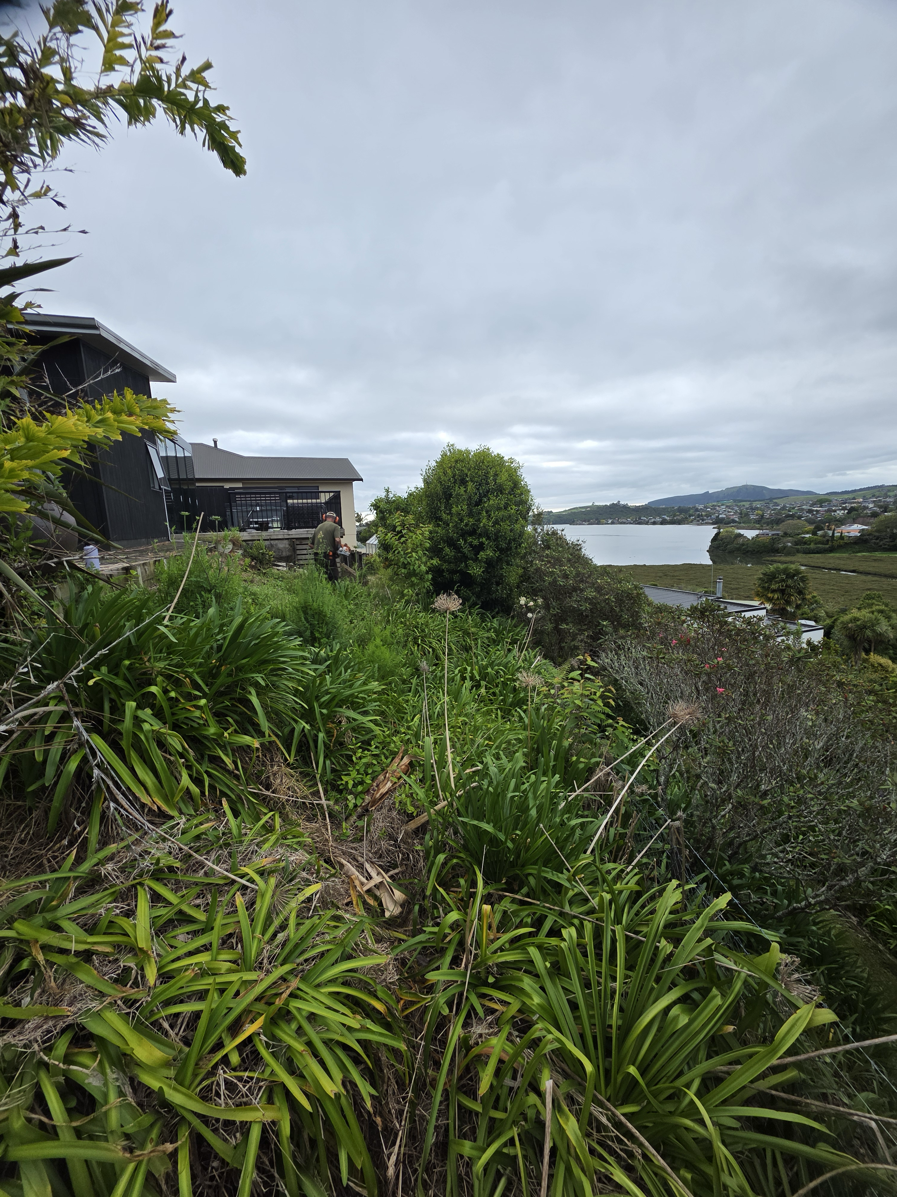 Retaining wall site before the retaining wall build